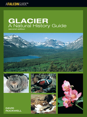 cover image of Glacier